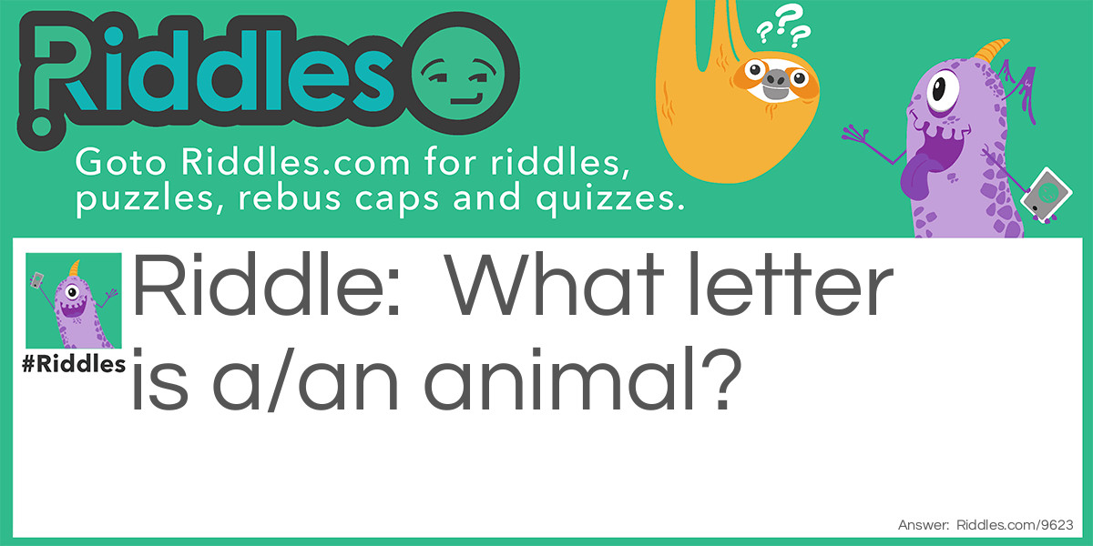 What letter is a/an animal?