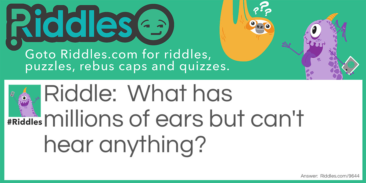 What has millions of ears but can't hear anything?