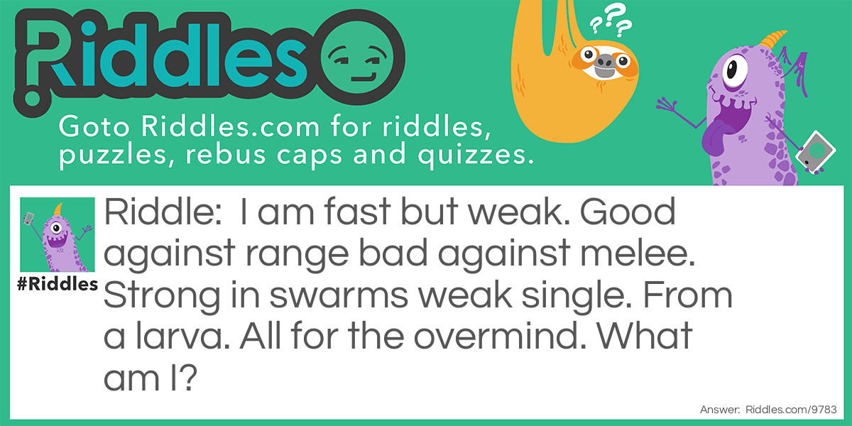 I am fast but weak. Good against range bad against melee. Strong in swarms weak single. From a larva. All for the overmind. What am I?