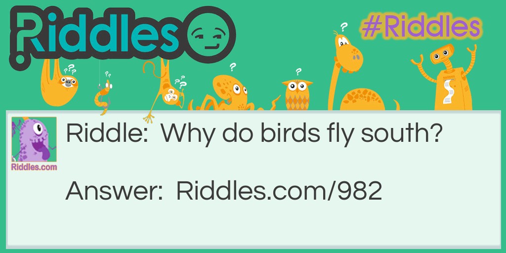 Why do birds fly south?