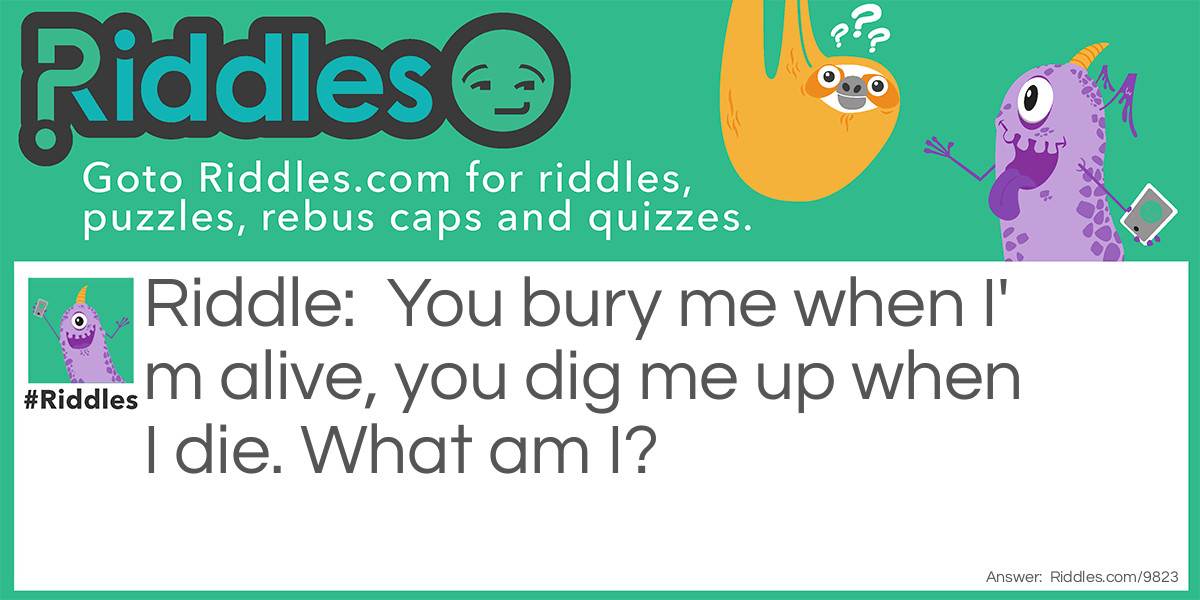 You bury me when I'm alive, you dig me up when I die. What am I?