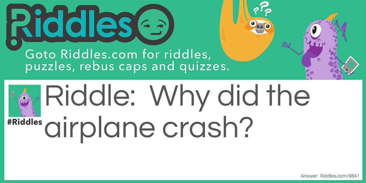 Why did the airplane crash?