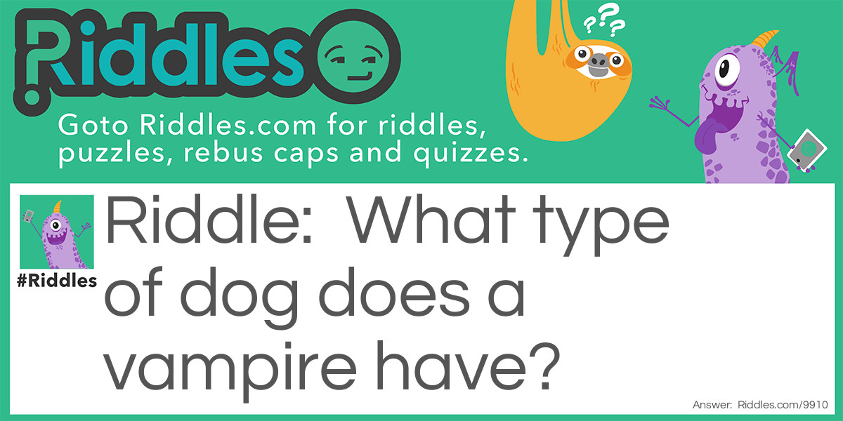 Riddle: What type of dog does a vampire have? Answer: A Bloodhound!