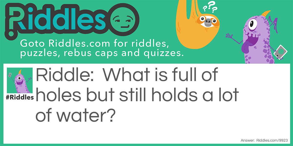 What is full of holes but still holds a lot of water?