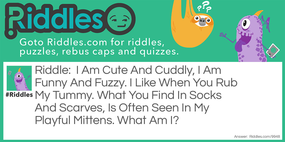 I am cute and cuddly, I am funny and fuzzy. I like when you rub my tummy. What you find in socks and scarves, Is often seen in my playful mittens. What am I?