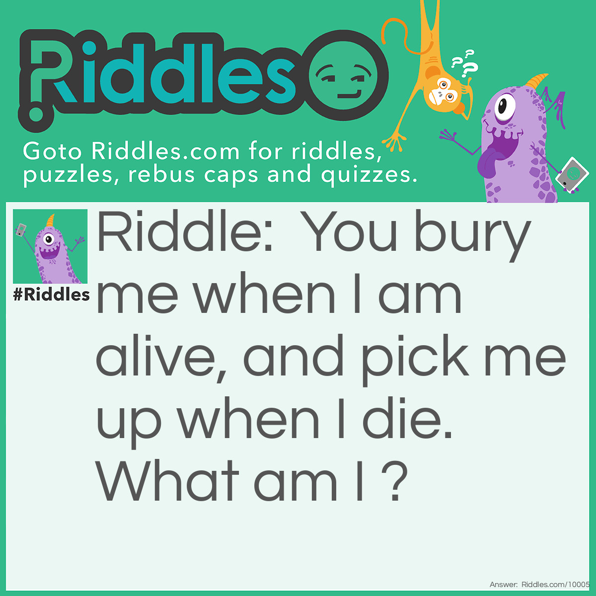Riddle: You bury me when I am alive, and pick me up when I die. What am I ? Answer: A plant.