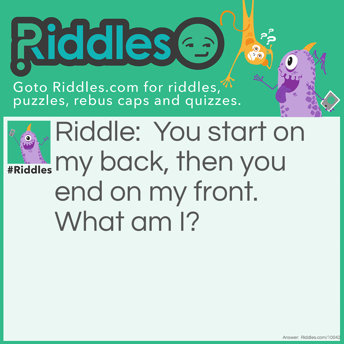 Riddle: You start on my back, then you end on my front. What am I? Answer: I am a line.