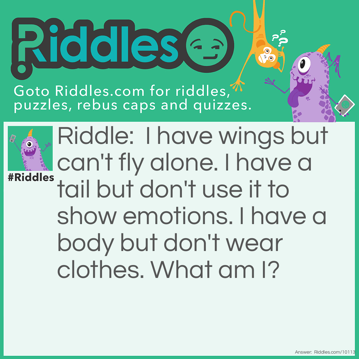 Riddle: I have wings but can't fly alone. I have a tail but don't use it to show emotions. I have a body but don't wear clothes. What am I? Answer: A plane.