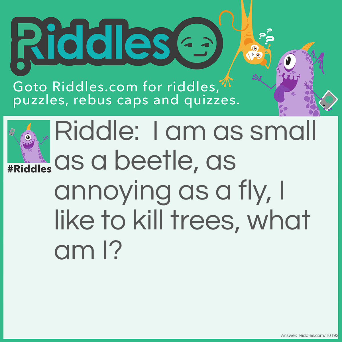 Riddle: I am as small as a beetle, as annoying as a fly, I like to kill trees, what am I? Answer: A Lantern Fly! (Also stop stealing my riddles, Berries, the LearnyVerse Wizard from Pyranic)
