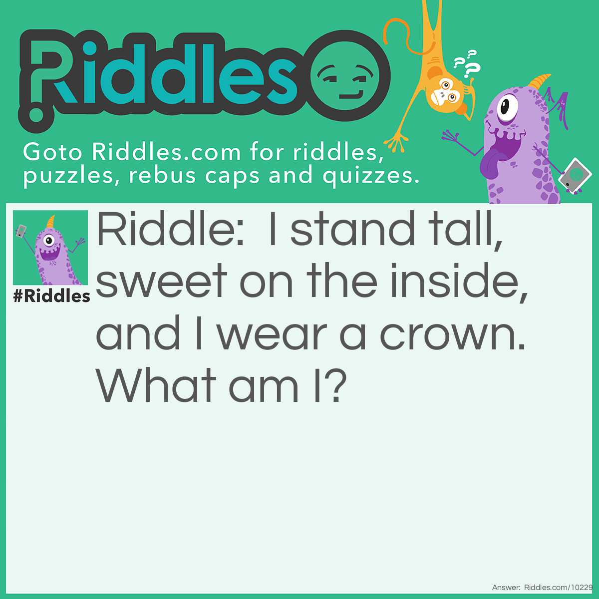 Riddle: I stand tall, sweet on the inside, and I wear a crown. What am I? Answer: A Pineapple.