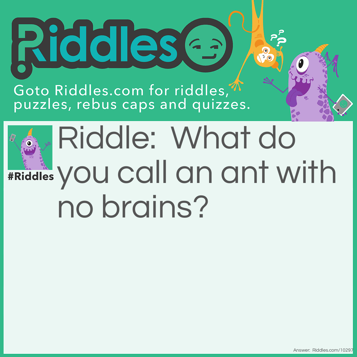 Riddle: What do you call an ant with no brains? Answer: An antibrain!