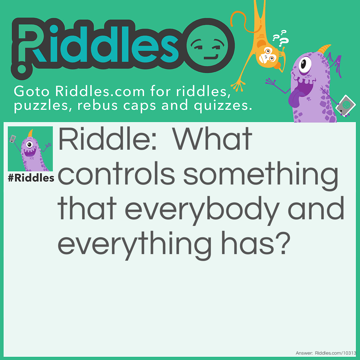 Riddle: What controls something that everybody and everything has? Answer: The sun! It controls shadows.