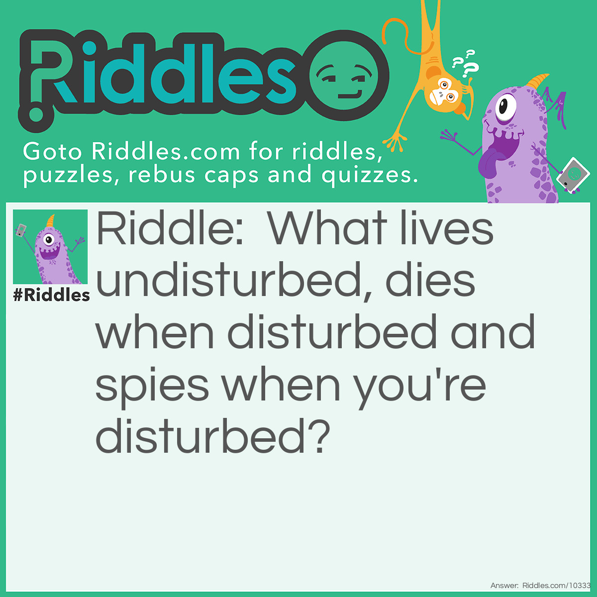 Riddle: What lives undisturbed, dies when disturbed and spies when you're disturbed? Answer: A mouse.