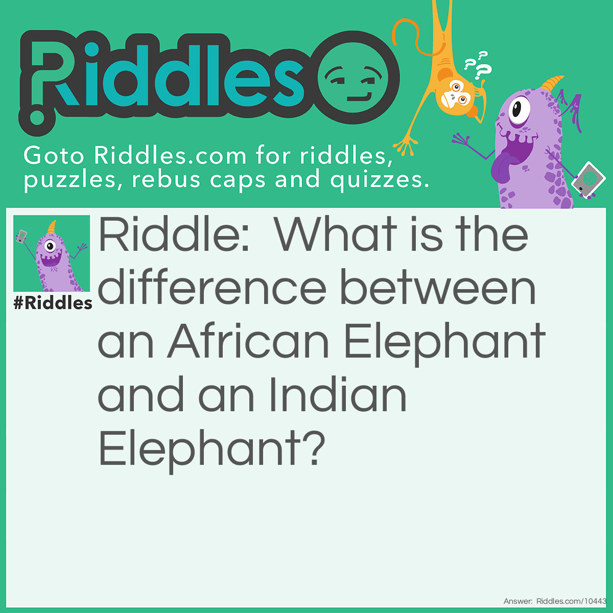 Riddle: What is the difference between an African Elephant and an Indian Elephant? Answer: About 3,000 miles.