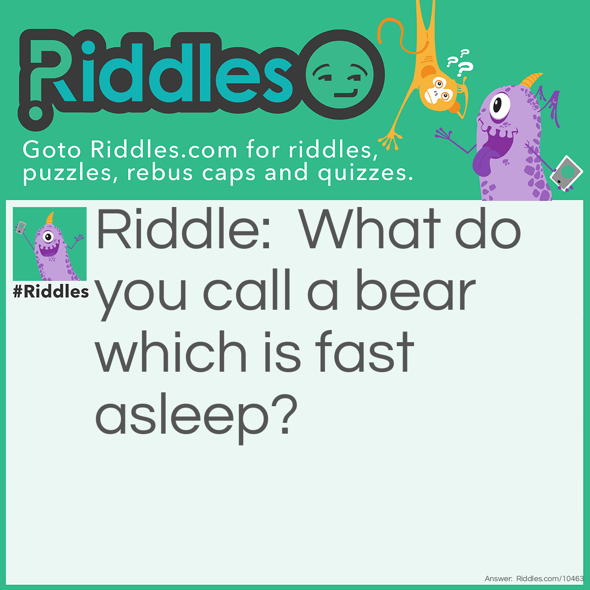 Riddle: What do you call a bear which is fast asleep? Answer: Bearly awake!