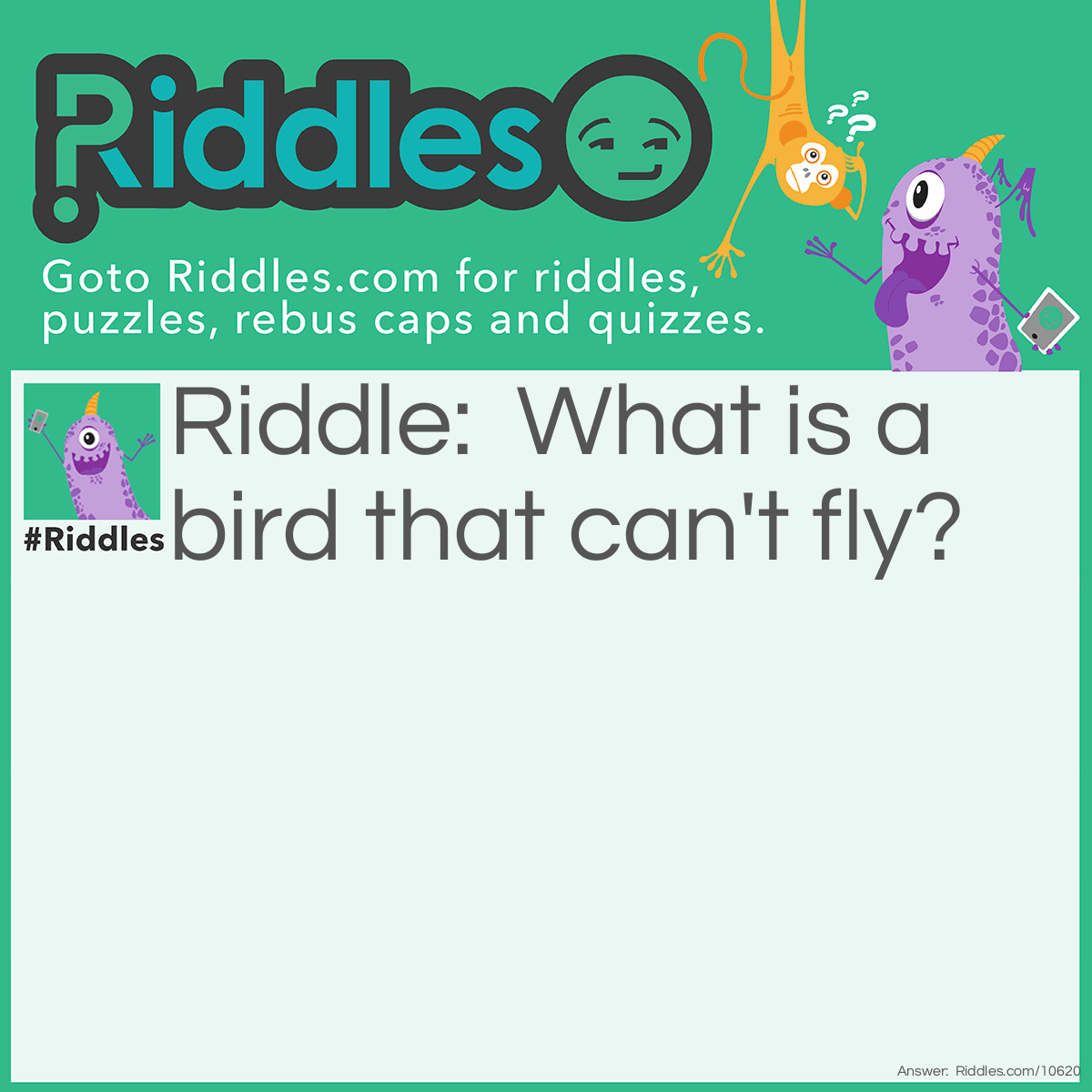 Riddle: What is a bird that can't fly? Answer: A dead one!