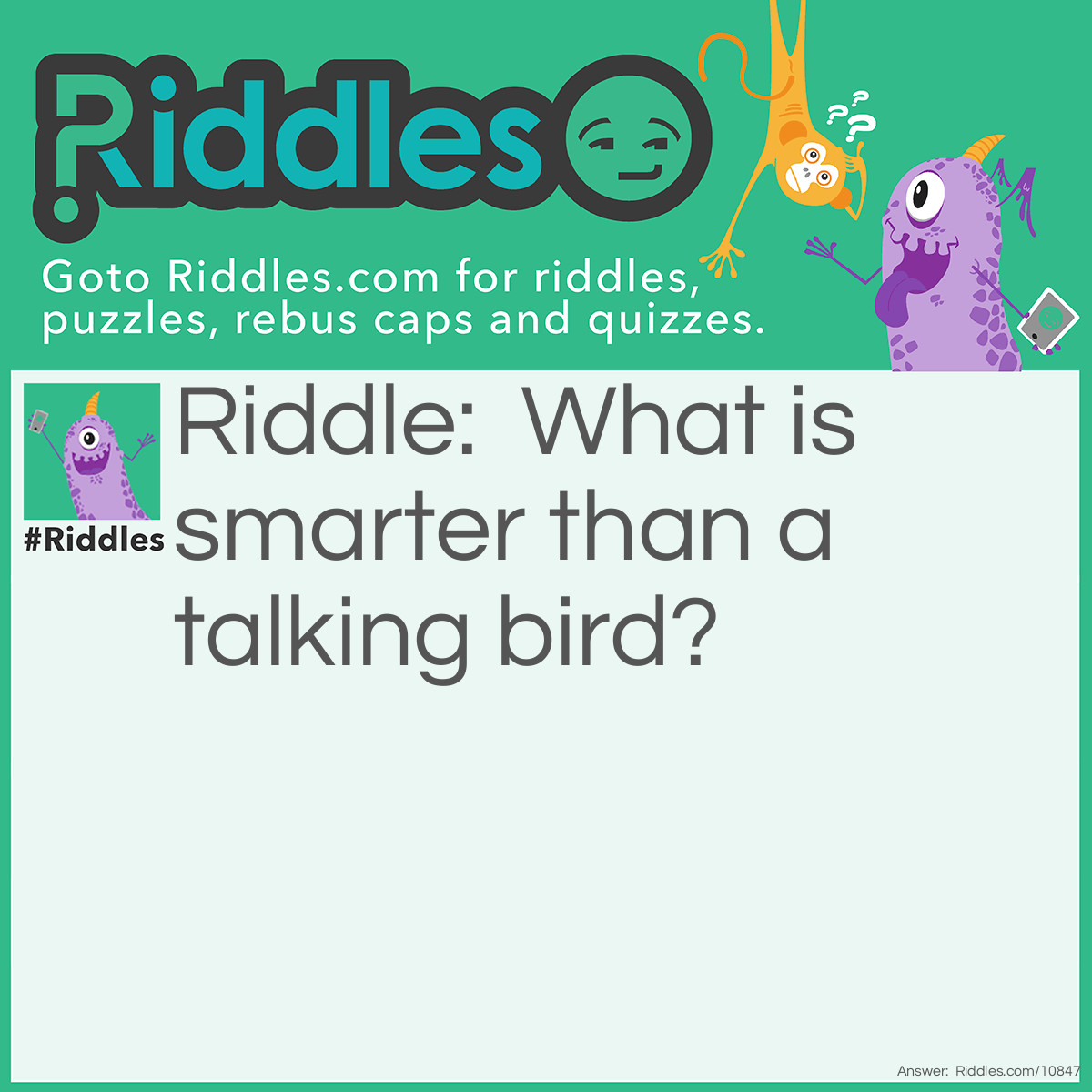 Riddle: What is smarter than a talking bird? Answer: A spelling bee.