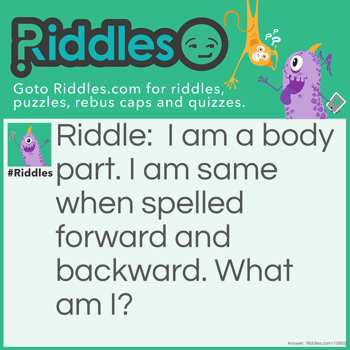 Riddle: I am a body part. I am same when spelled forward and backward. What am I? Answer: Rotator.