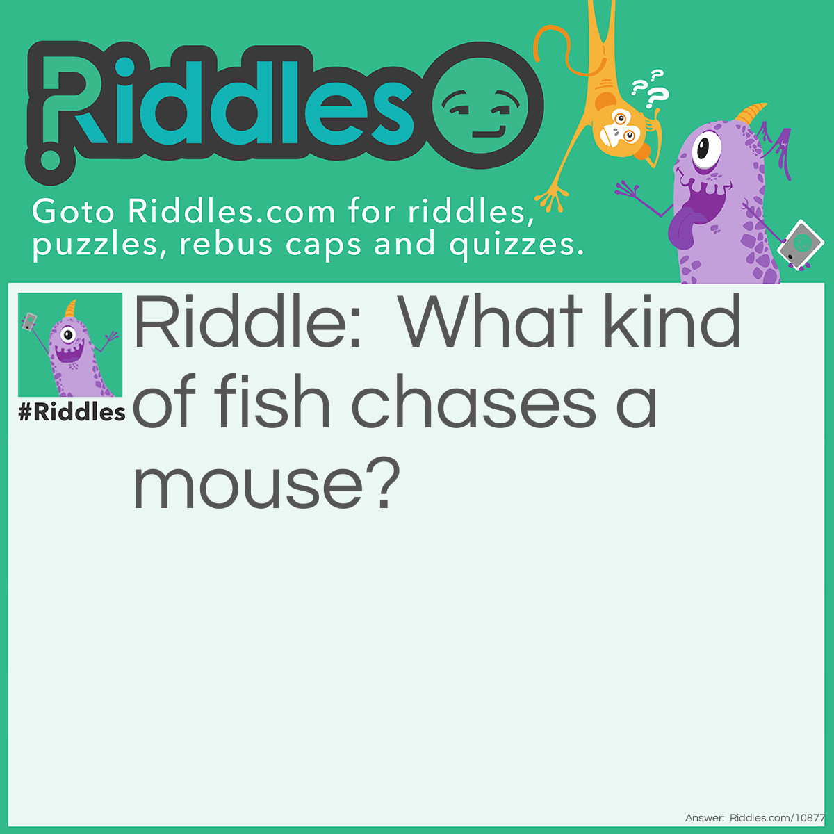 Riddle: What kind of fish chases a mouse? Answer: A catfish!