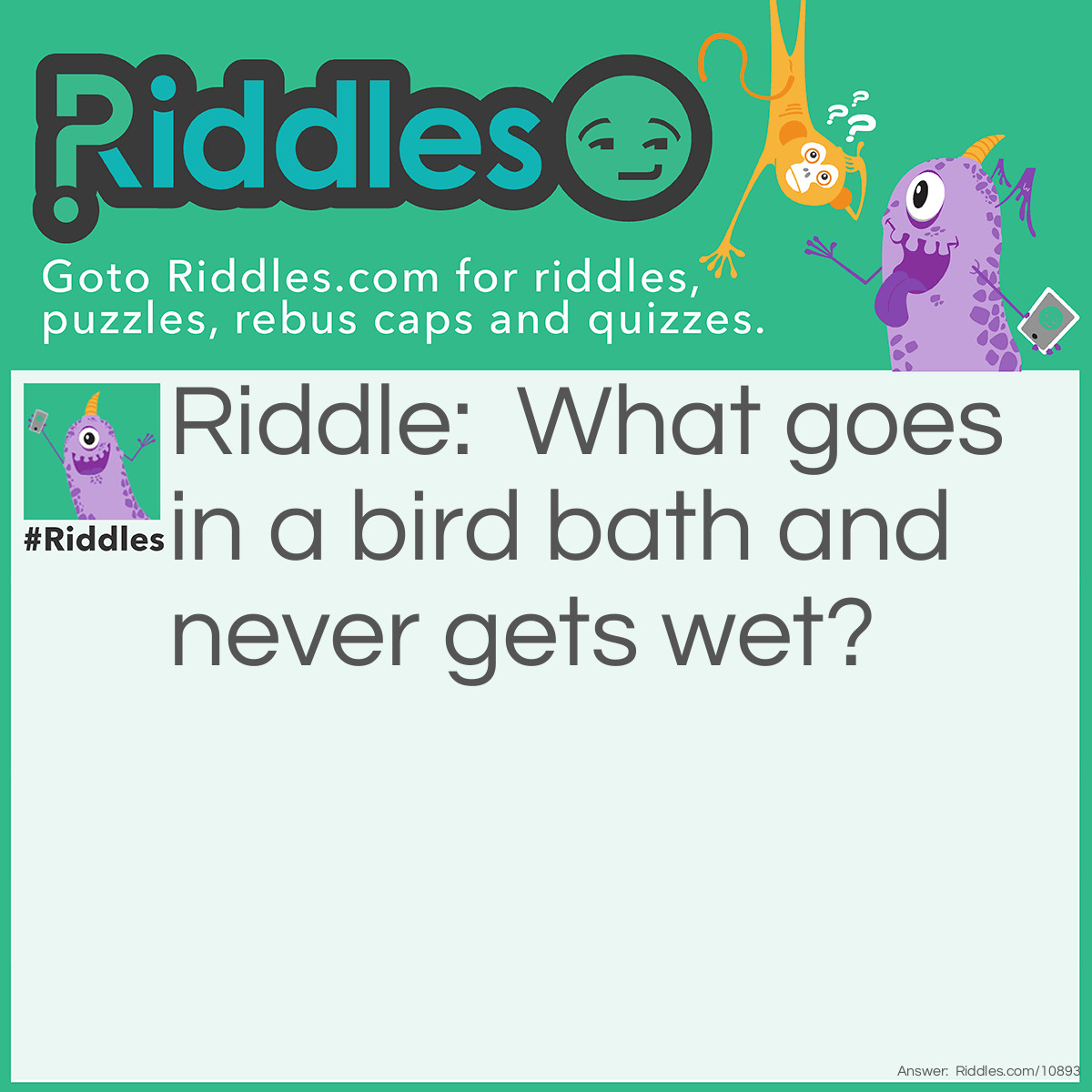 Riddle: What goes in a bird bath and never gets wet? Answer: Either the birds reflection or the birds shadow --Either one works