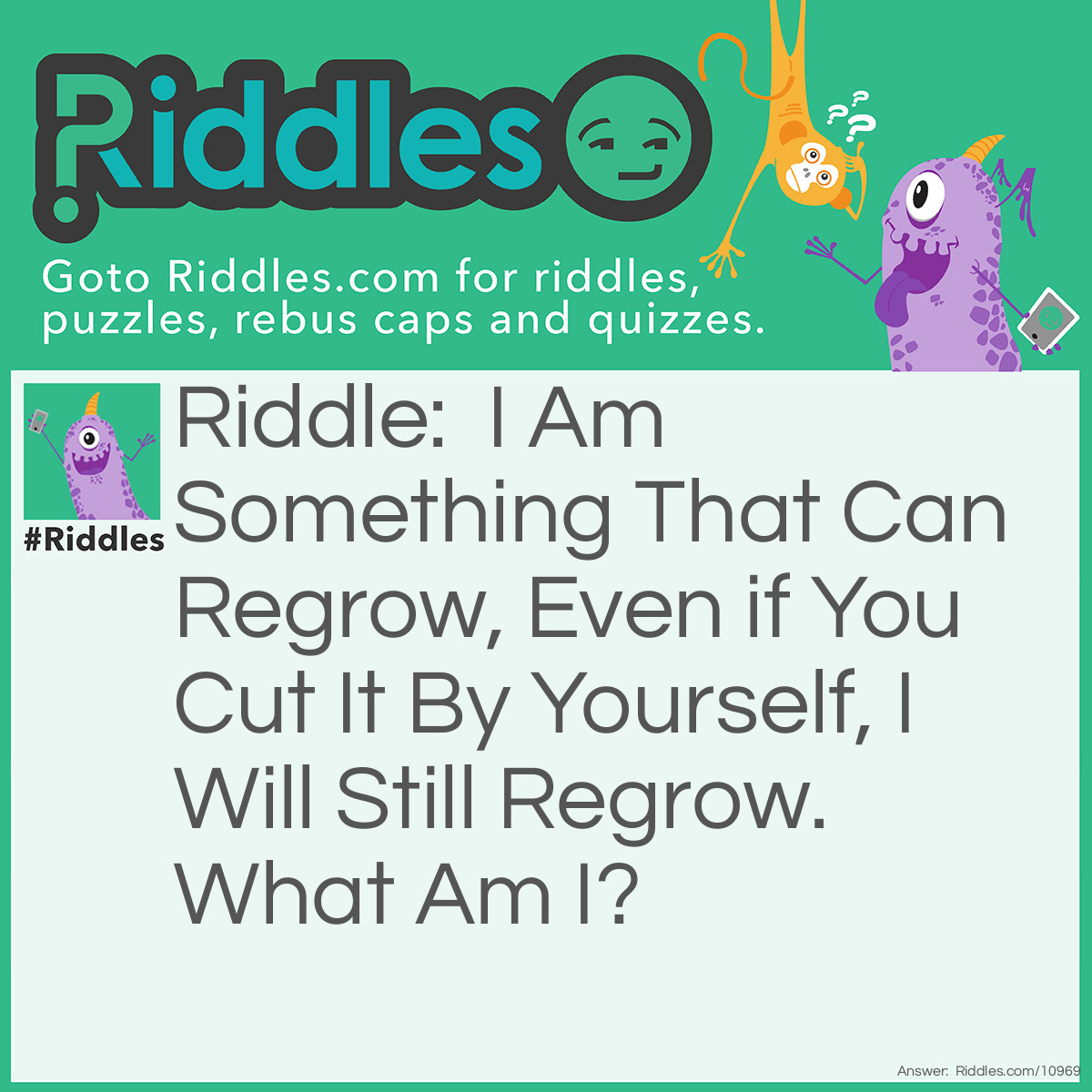 Riddle: I Am Something That Can Regrow, Even if You Cut It By Yourself, I Will Still Regrow. What Am I? Answer: Liver.