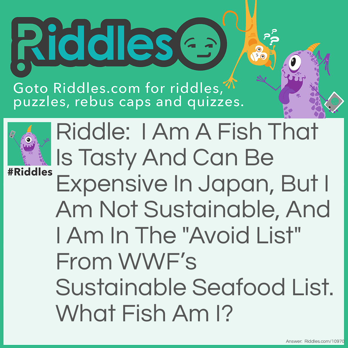 Riddle: I Am A Fish That Is Tasty And Can Be Expensive In Japan, But I Am Not Sustainable, And I Am In The "Avoid List" From WWF’s Sustainable Seafood List. What Fish Am I? Answer: An Eel.