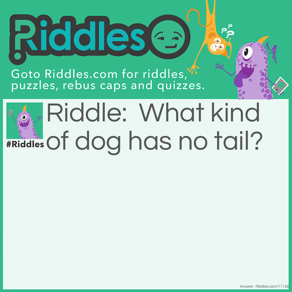 Riddle: What kind of dog has no tail? Answer: A hot dog.