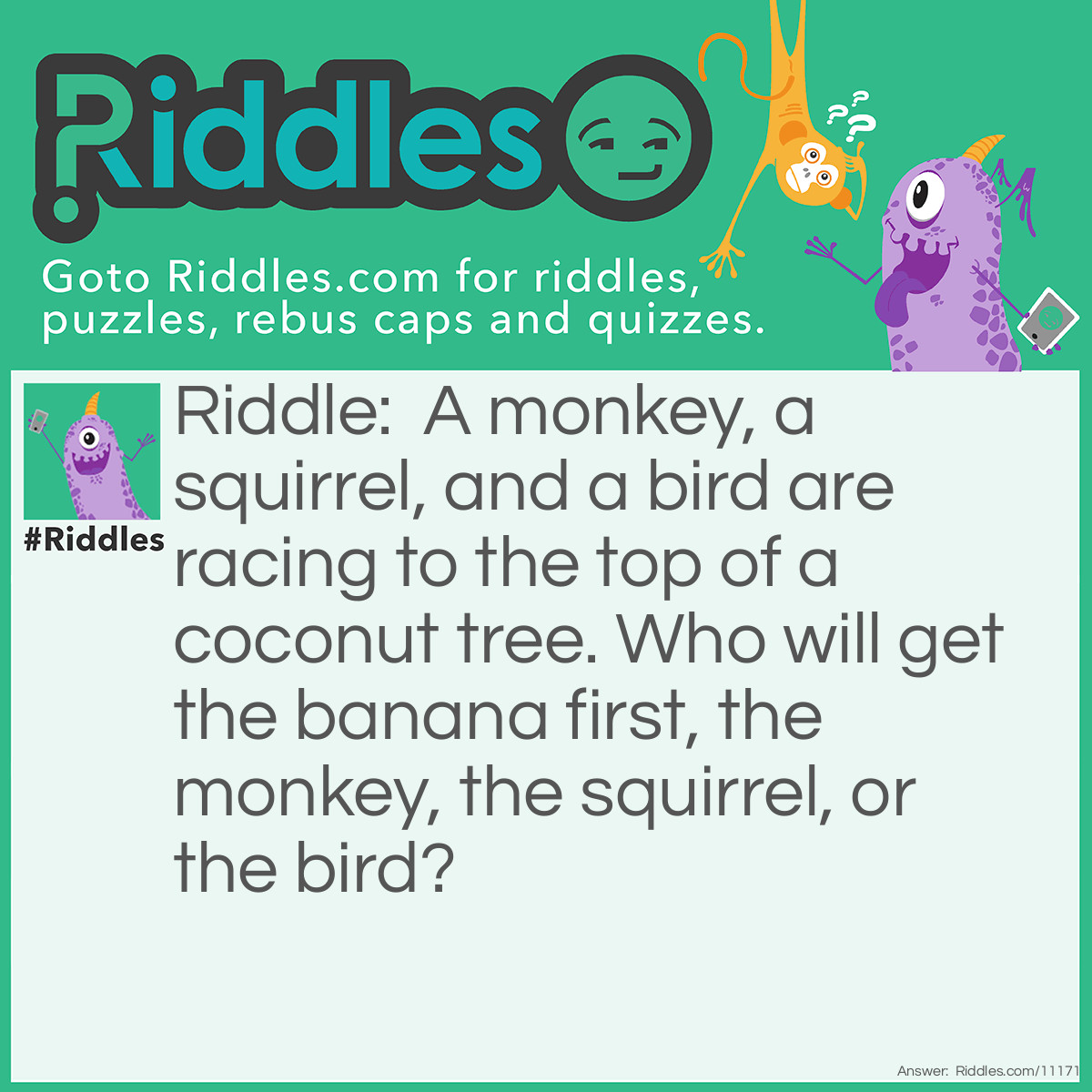 Riddle: A monkey, a squirrel, and a bird are racing to the top of a coconut tree. Who will get the banana first, the monkey, the squirrel, or the bird? Answer: None of them, because you can't get a banana from a coconut tree.
