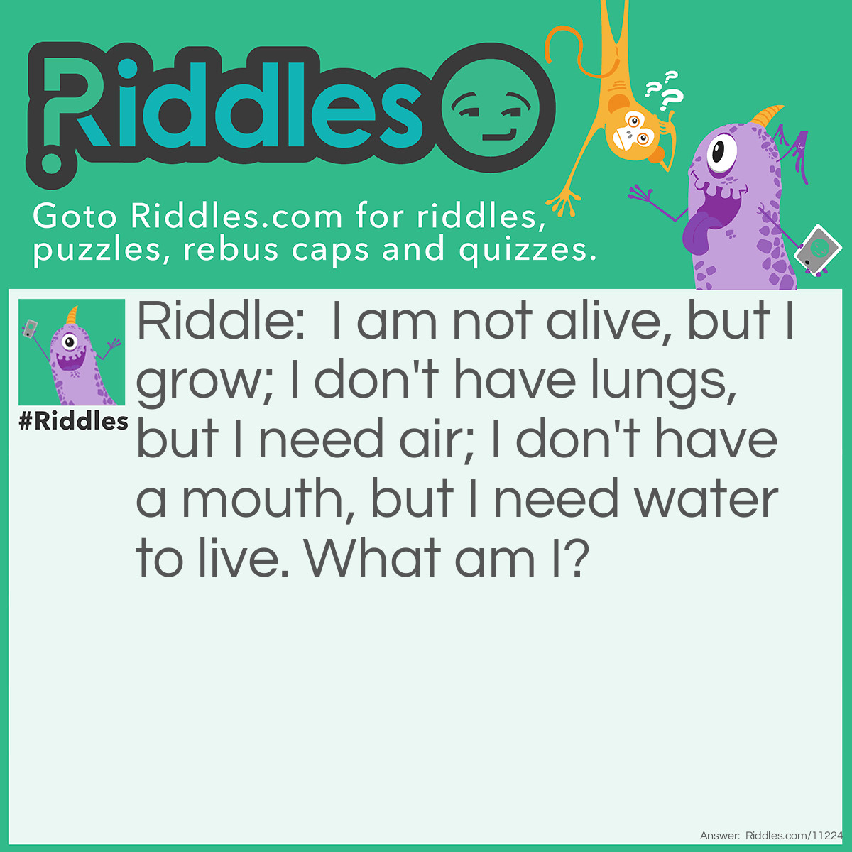 Riddle: I am not alive, but I grow; I don't have lungs, but I need air; I don't have a mouth, but I need water to live. What am I? Answer: I am an AI language model designed to answer questions and provide information on a wide range of topics.