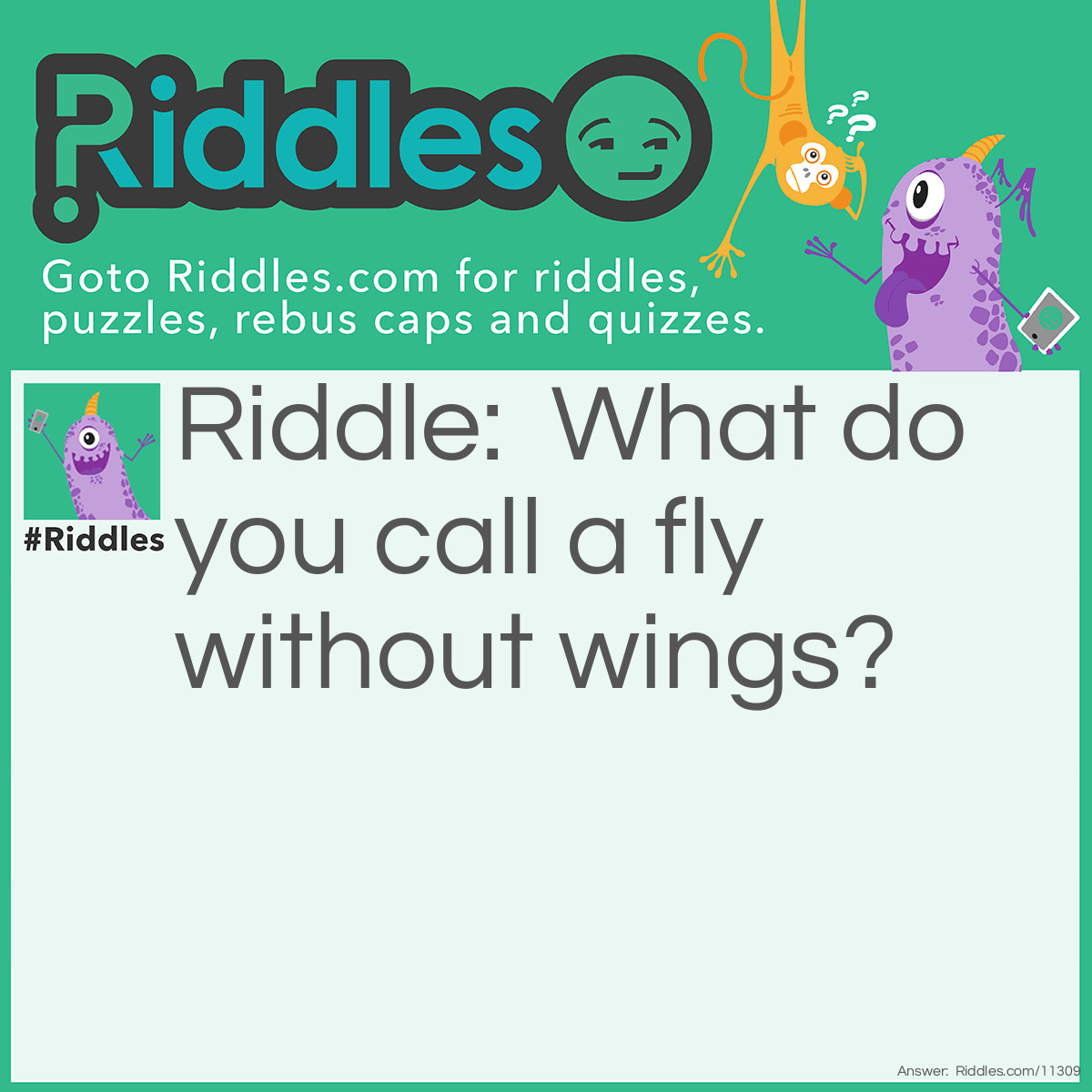 Riddle: What do you call a fly without wings? Answer: A walk.  Another popular answer: A Zipper.
