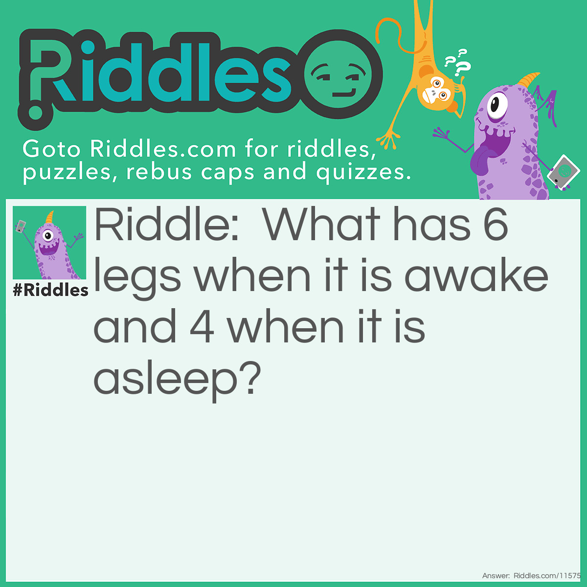 Riddle: What has 6 legs when it is awake and 4 when it is asleep? Answer: A person riding a horse.
Explanation:
When awake, the person is riding the horse, so together they have:2 human legs + 4 horse legs = 6 legs.When asleep, the person is off the horse, presumably lying down, and the horse is standing or resting separately:Only the horse's 4 legs are "active"/on the ground = 4 legs visible or "counted."It's a play on perspective and state of activity!