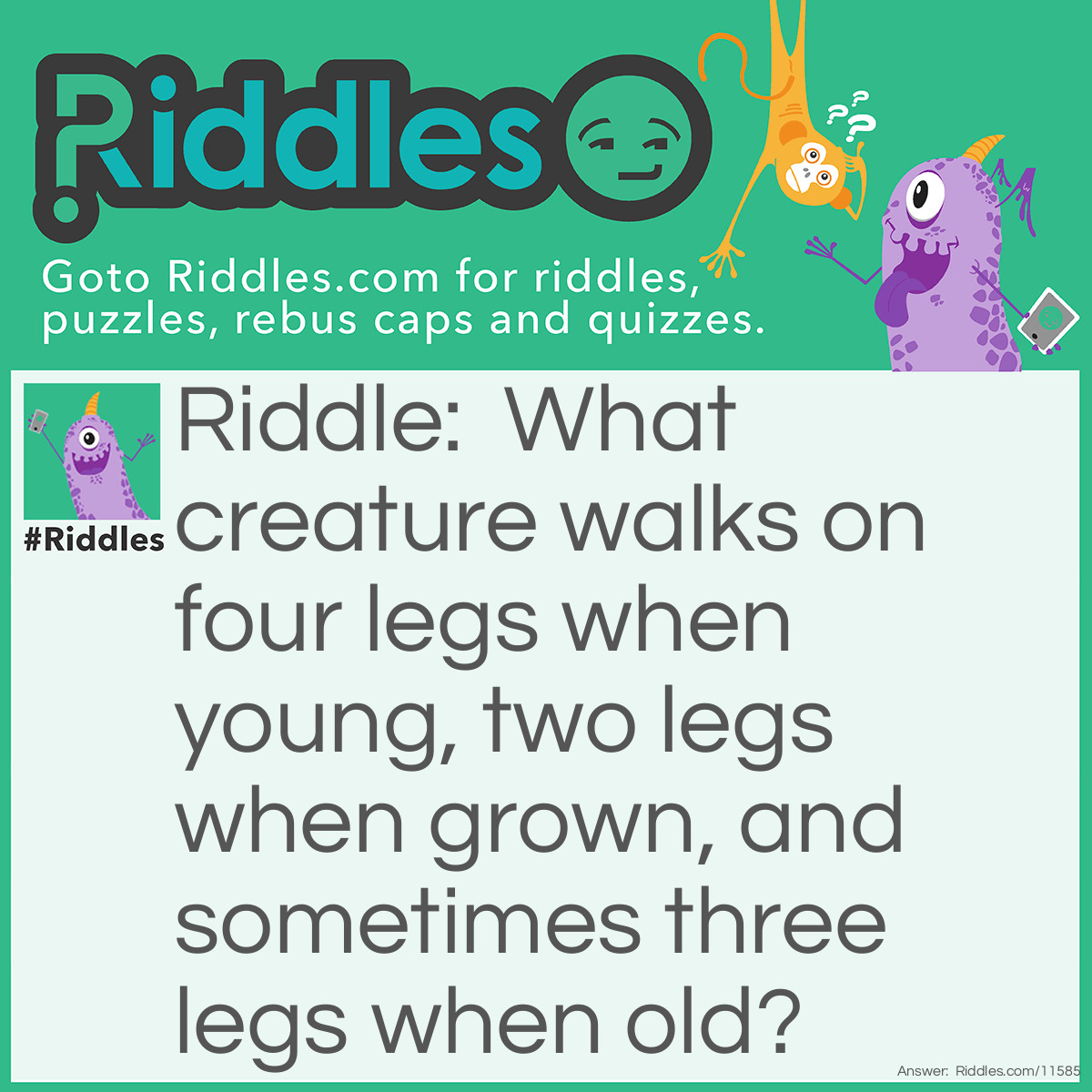 Riddle: What creature walks on four legs when young, two legs when grown, and sometimes three legs when old? Answer: A human.