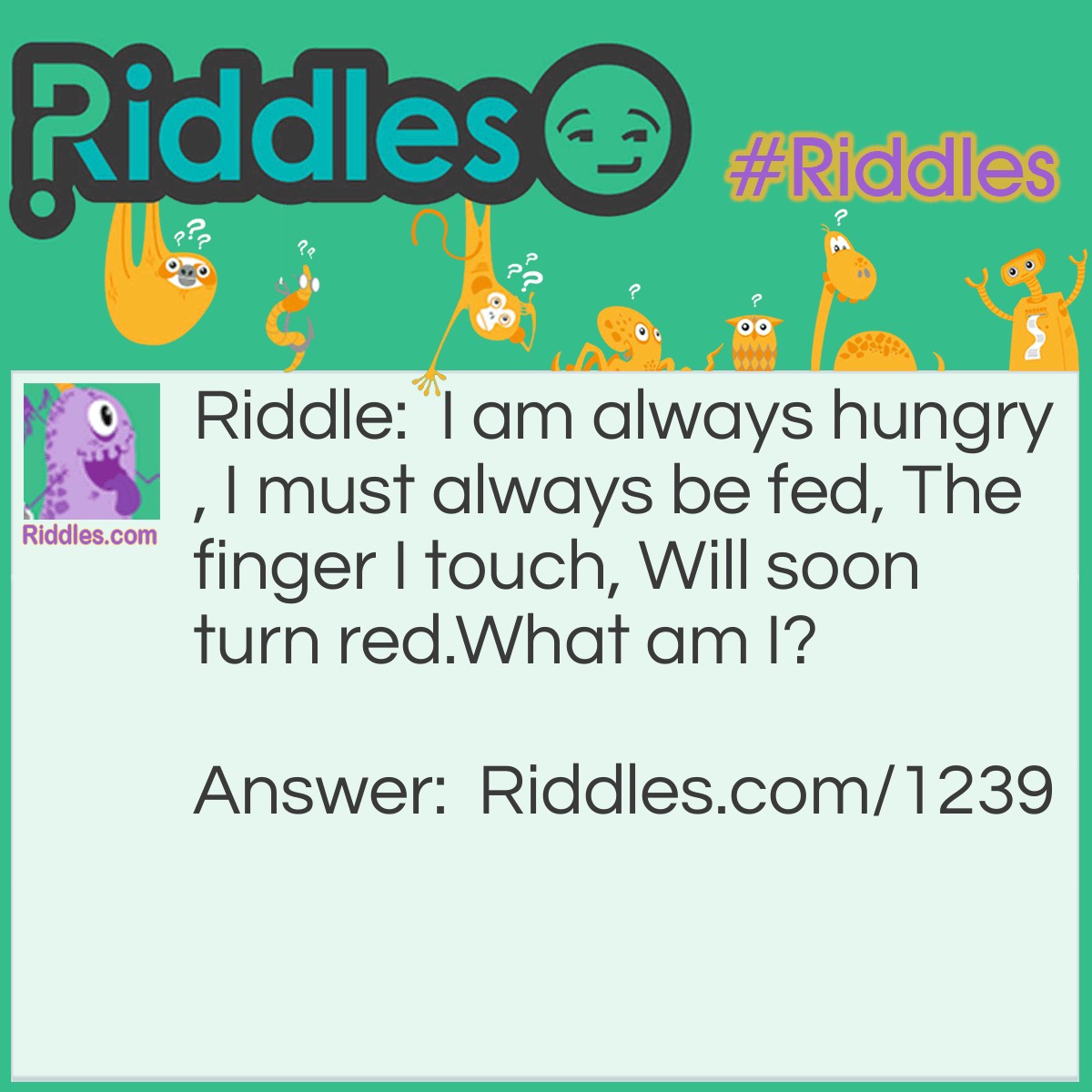 Riddle: I am always hungry, I must always be fed, The finger I touch, Will soon turn red.
What am I? Answer: Fire