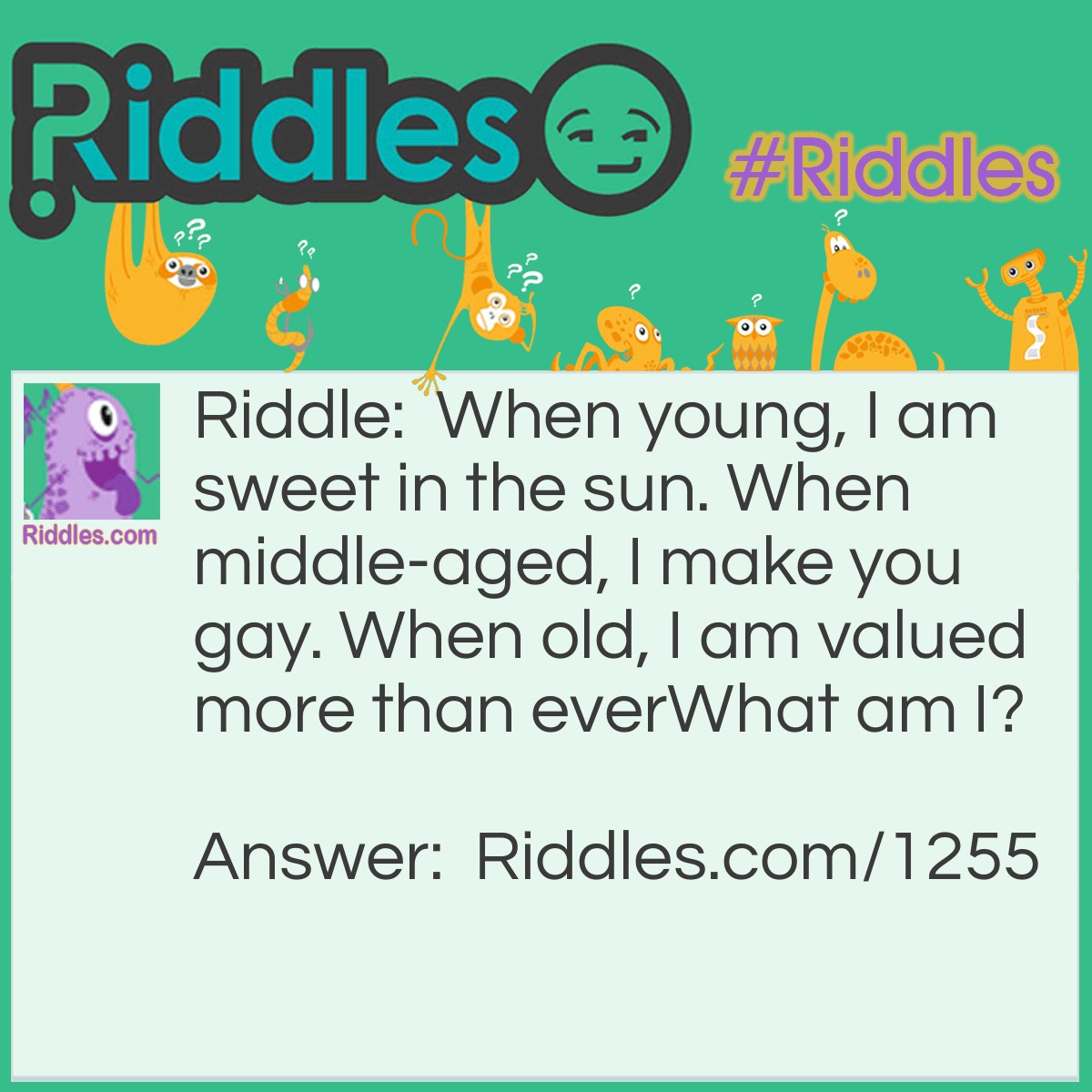 Riddle: When young, I am sweet in the sun. When middle-aged, I make you gay. When old, I am valued more than ever
What am I? Answer: Wine