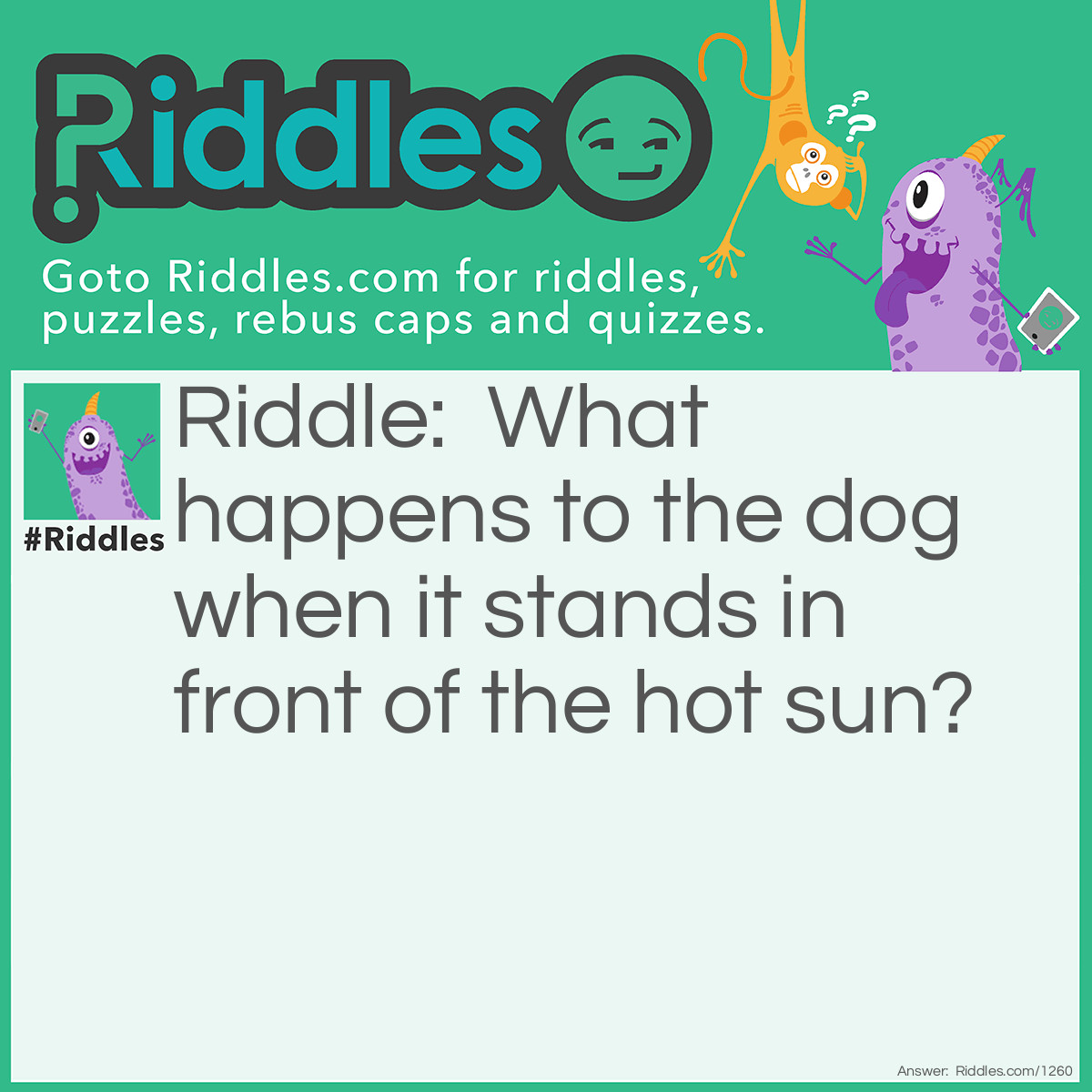 Riddle: What happens to the dog when it stands in front of the hot sun? Answer: It becomes a hotdog.