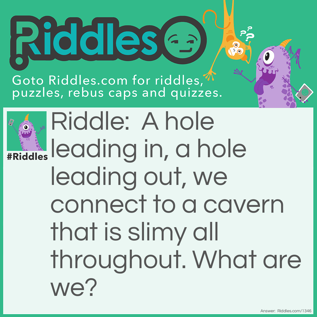 Riddle: A hole leading in, a hole leading out, we connect to a cavern that is slimy all throughout.
What are we? Answer: A nose.