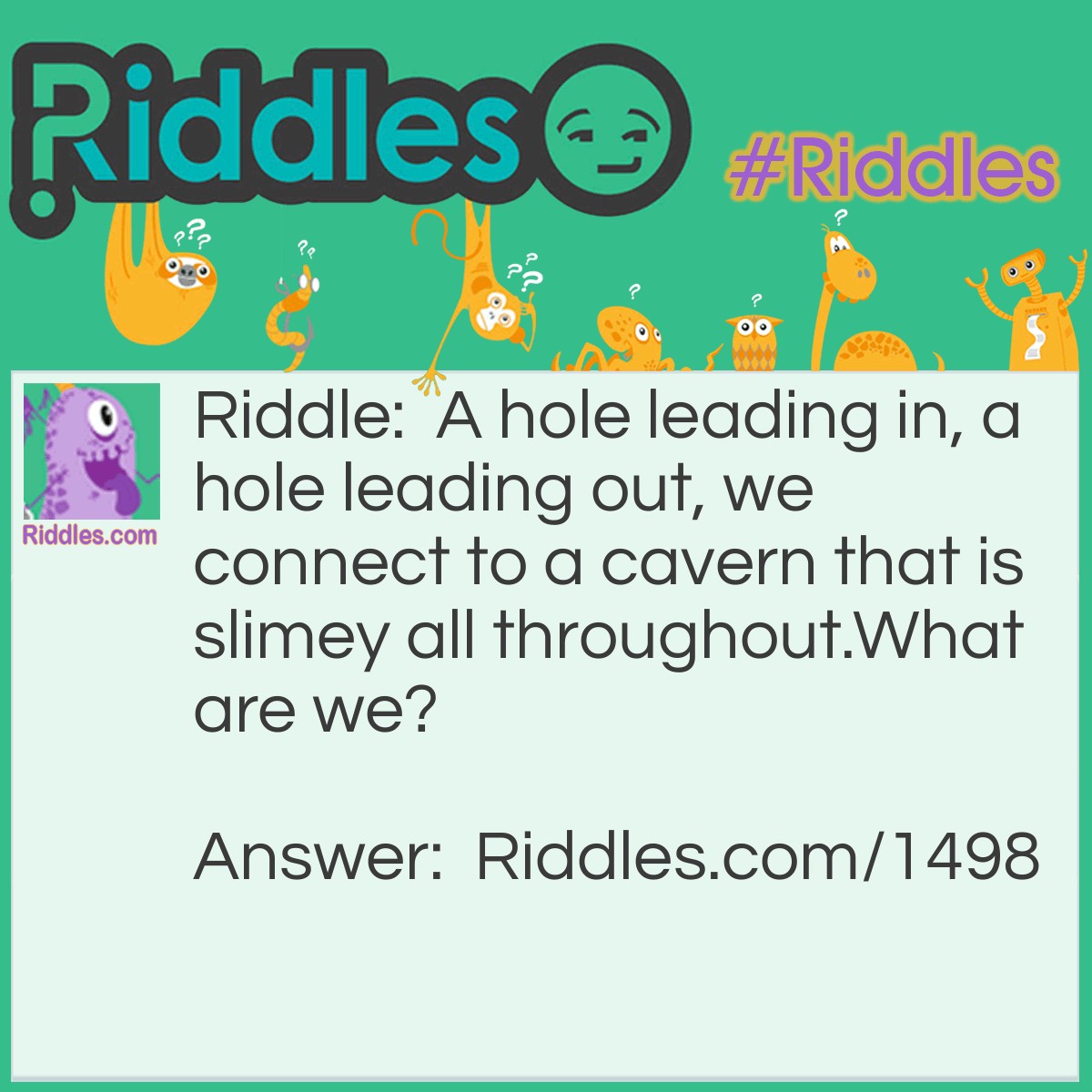 Riddle: A hole leading in, a hole leading out, we connect to a cavern that is slimey all throughout.
What are we? Answer: Your nose.