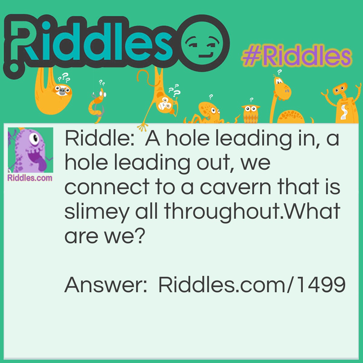 Riddle: A hole leading in, a hole leading out, we connect to a cavern that is slimey all throughout.
What are we? Answer: Your nose.
