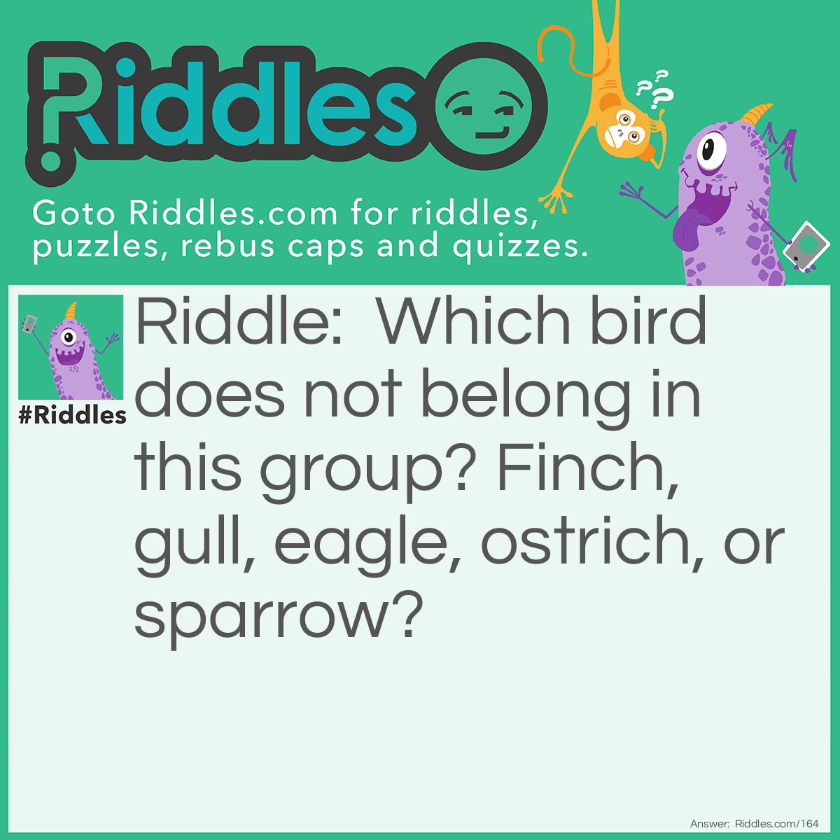 Riddle: Which bird does not belong in this group? Finch, gull, eagle, ostrich, or sparrow? Answer: The Ostrich. It's the only bird that doesn't fly.