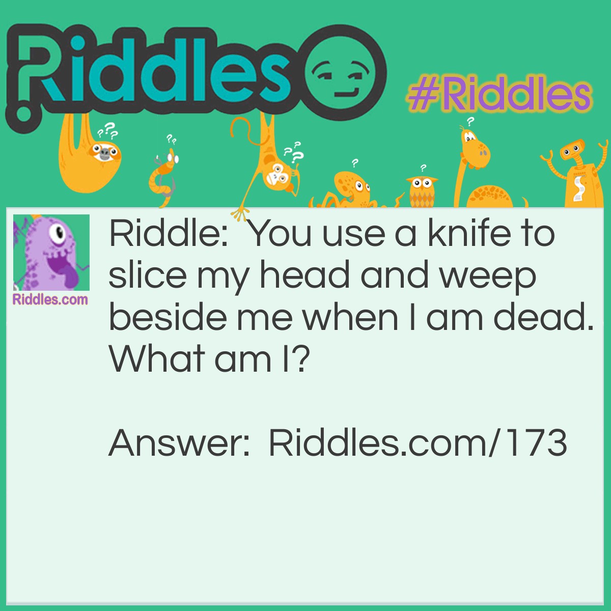 Riddle: You use a knife to slice my head and weep beside me when I am dead. What am I? Answer: An onion.