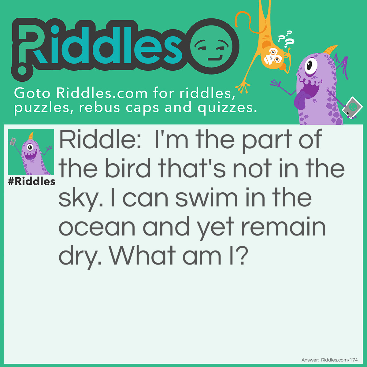 Riddle: I'm the part of the bird that's not in the sky. I can swim in the ocean and yet remain dry. What am I? Answer: A shadow.
