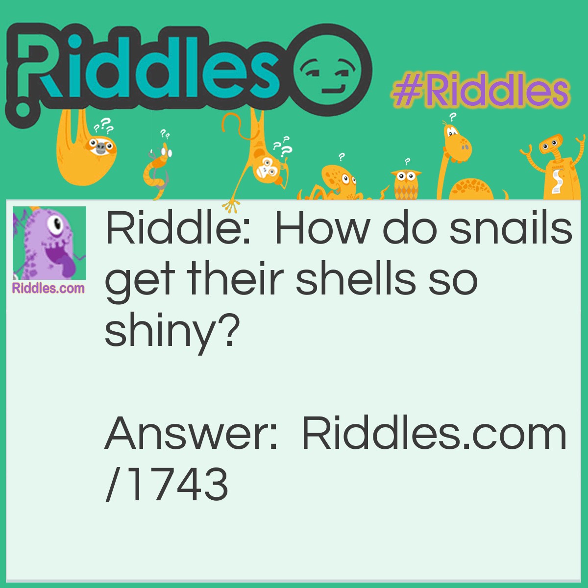 Riddle: How do snails get their shells so shiny? Answer: They use snail polish.