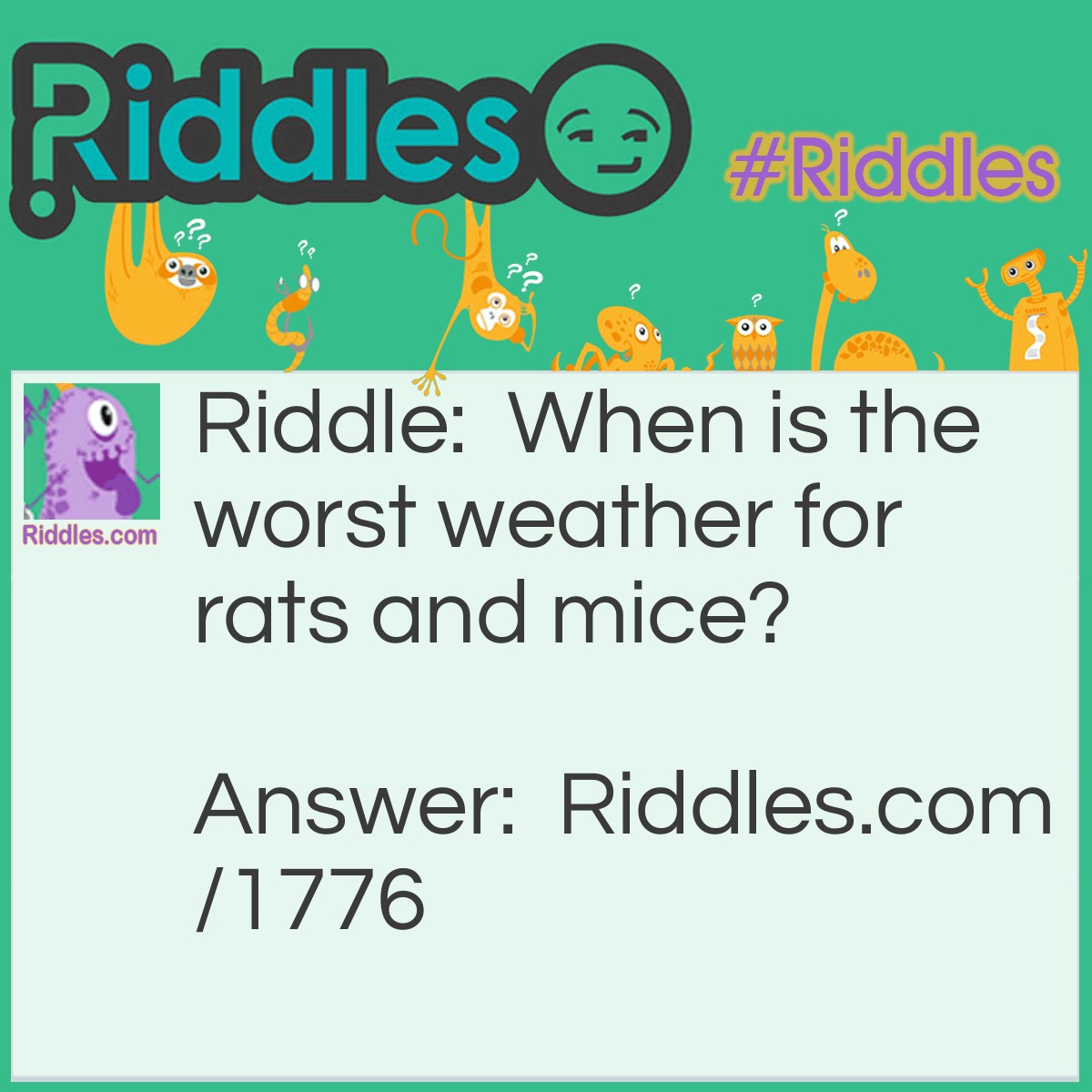 Riddle: When is the worst weather for rats and mice? Answer: When it rains cats and dogs.