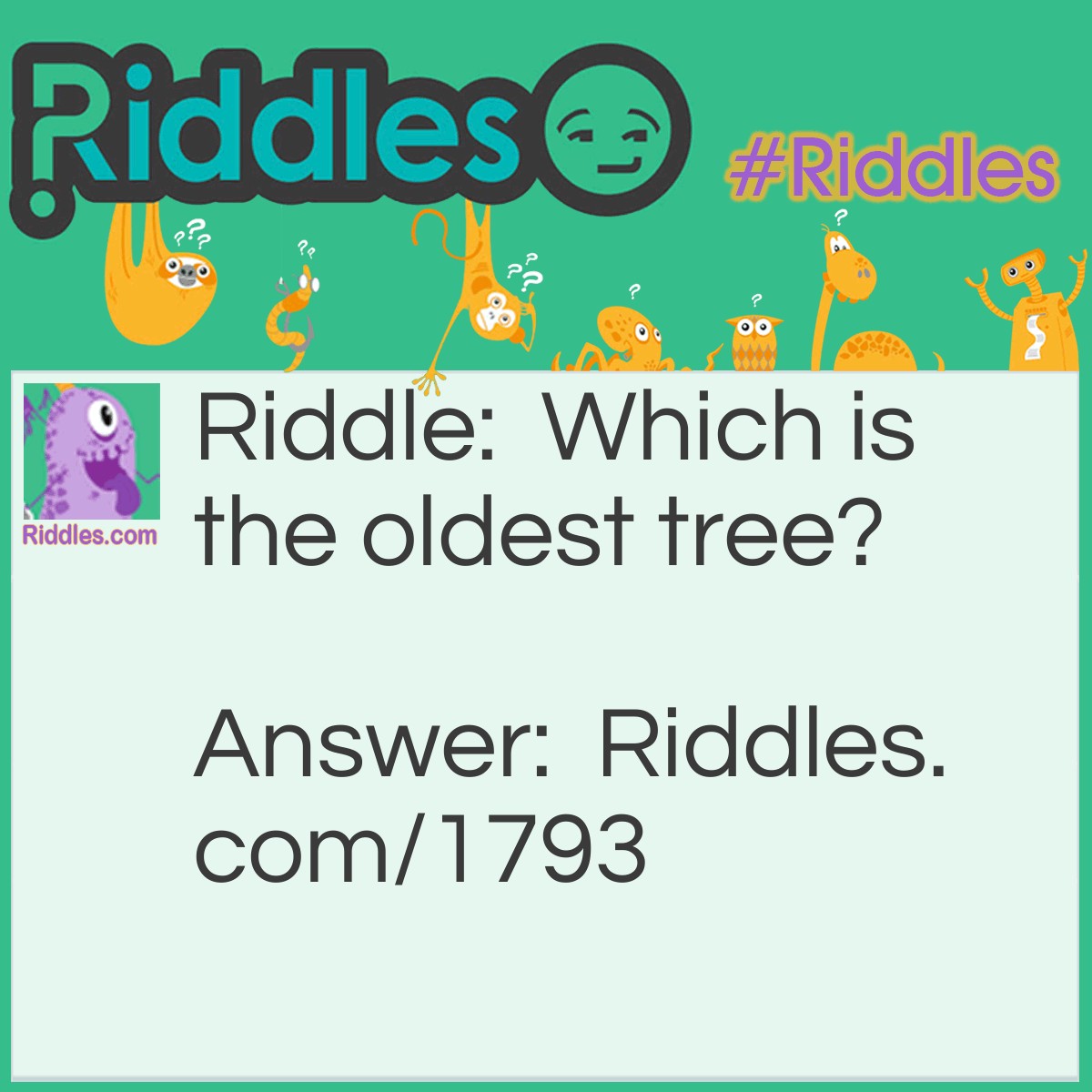 Riddle: Which is the oldest tree? Answer: The elder.