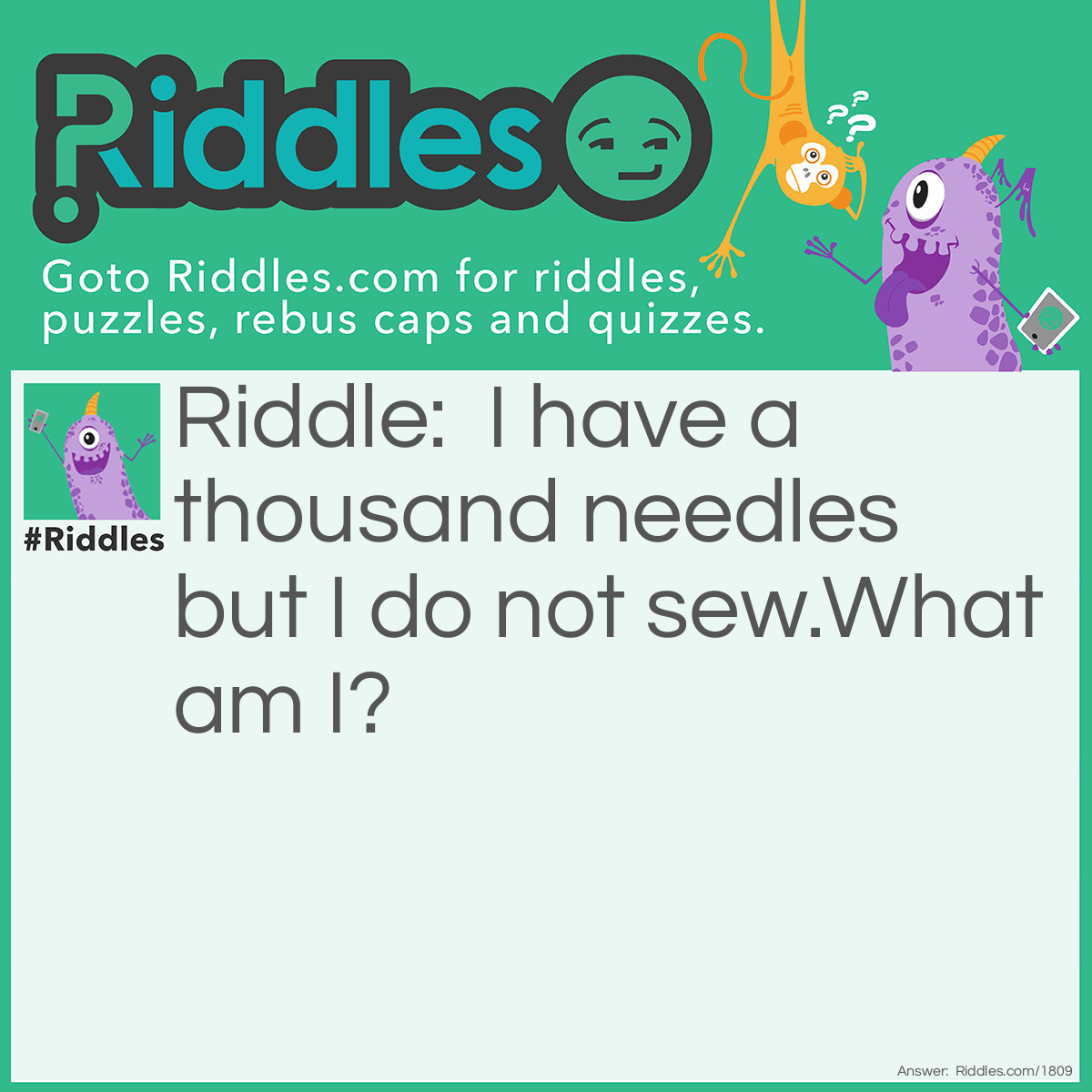 Riddle: I have a thousand needles but I do not sew.
What am I? Answer: A Porcupine.