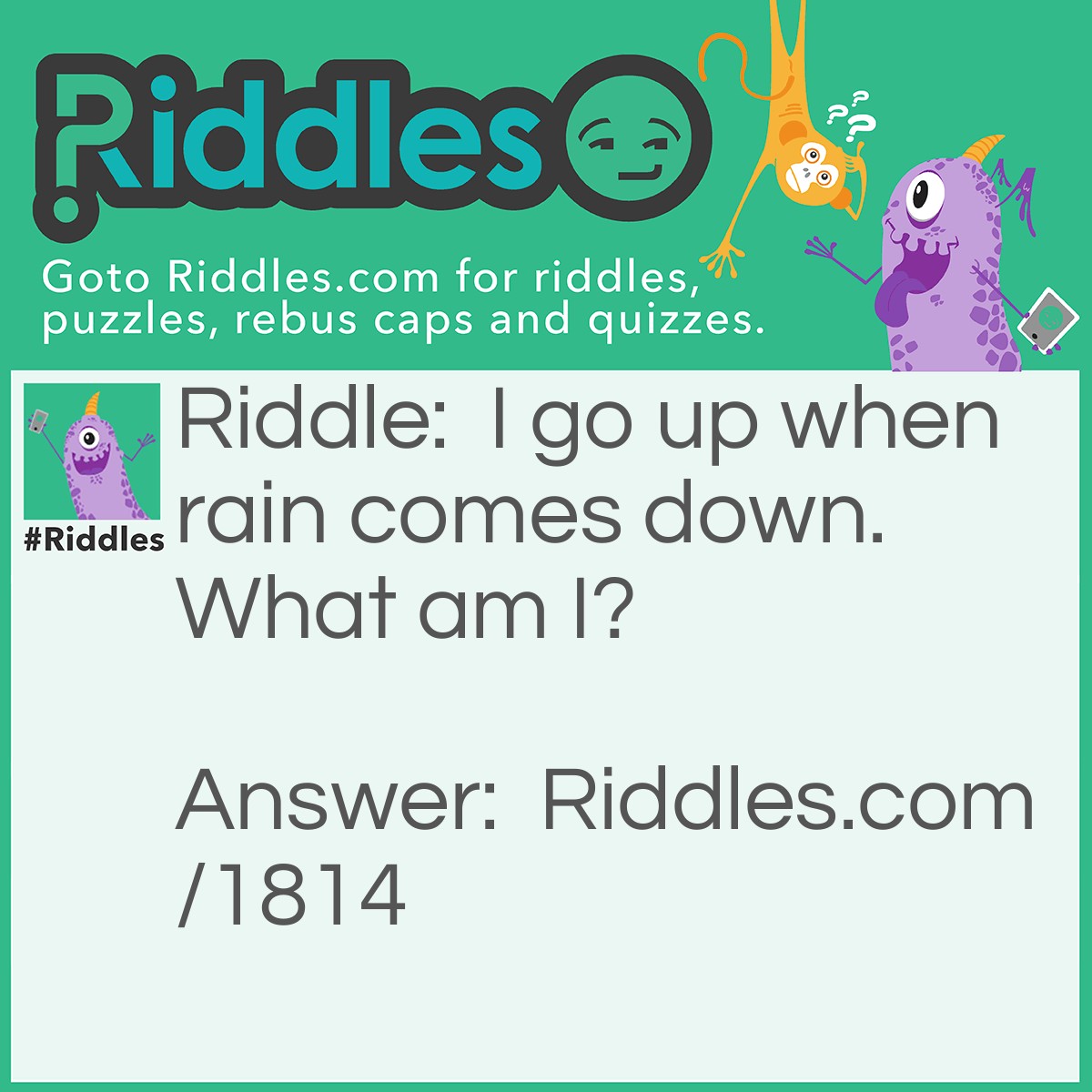 Riddle: I go up when rain comes down. What am I? Answer: An Umbrella.