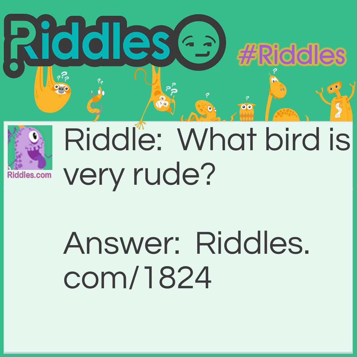 Riddle: What bird is very rude? Answer: A mocking bird.