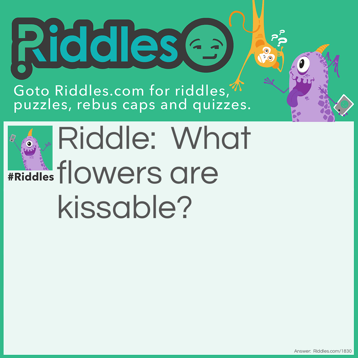 Riddle: What flowers are kissable? Answer: Tulips (two-lips).