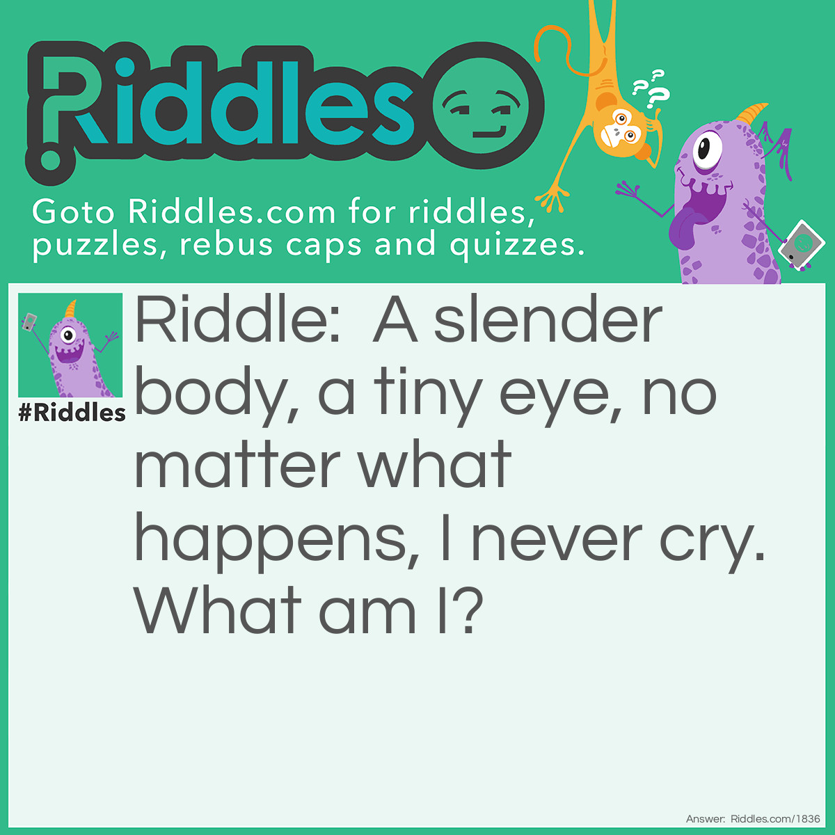 Riddle: A slender body, a tiny eye, no matter what happens, I never cry. What am I? Answer: A needle.