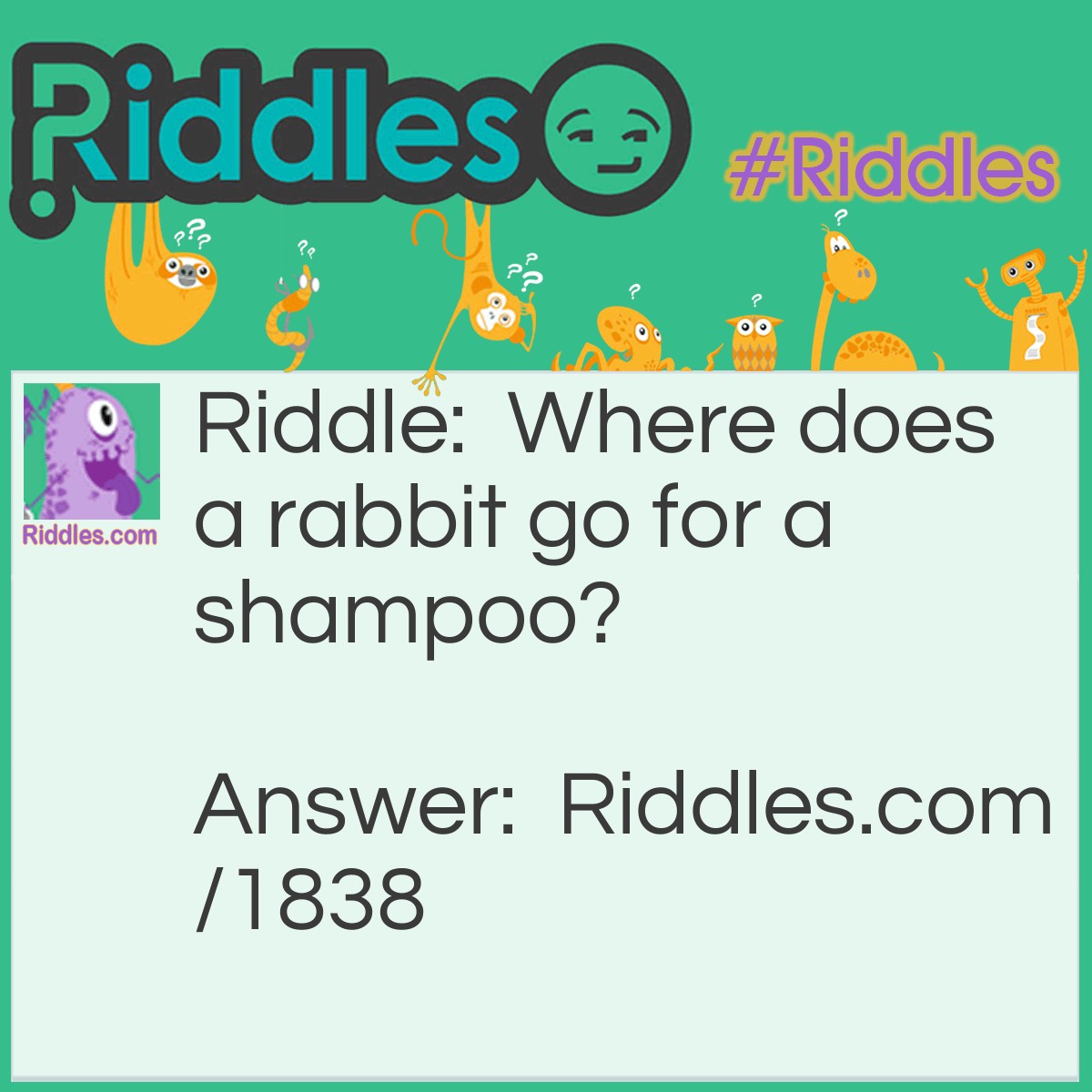 Riddle: Where does a rabbit go for a shampoo? Answer: To a hare-dresser.